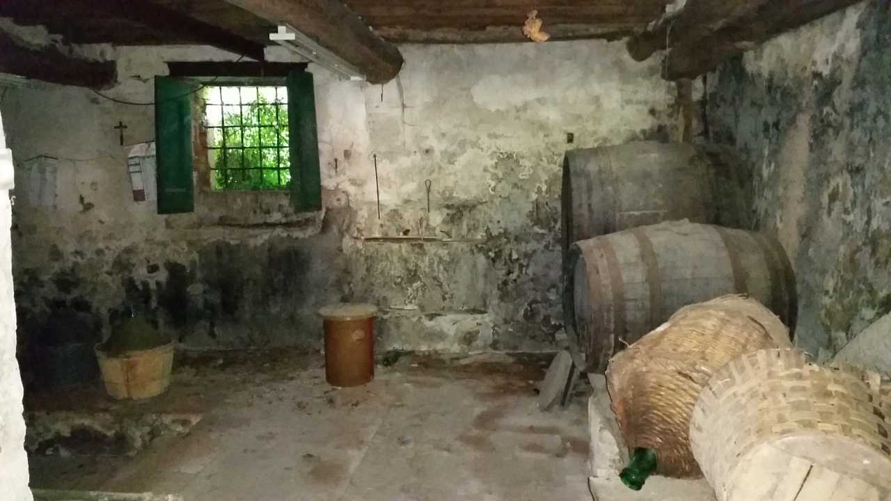  - foto 23