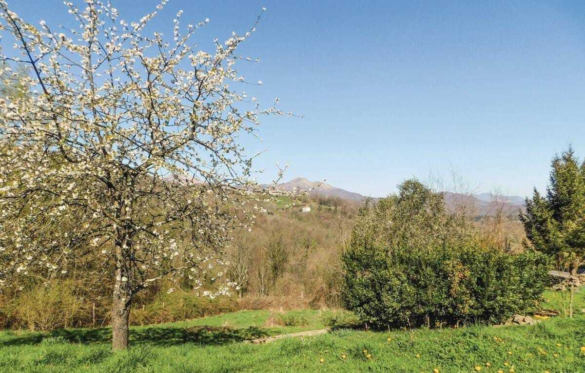  - foto 20