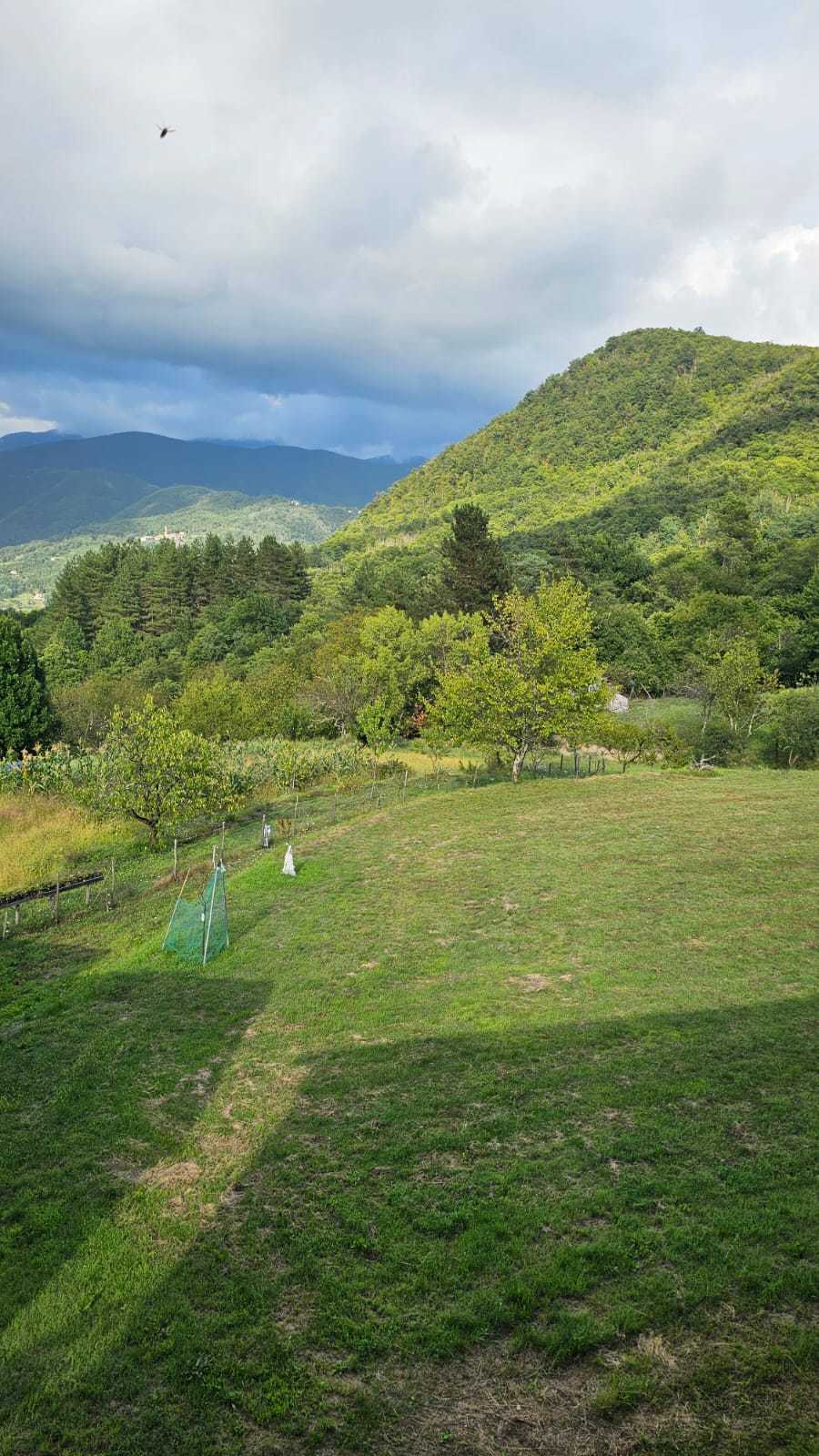  - foto 39