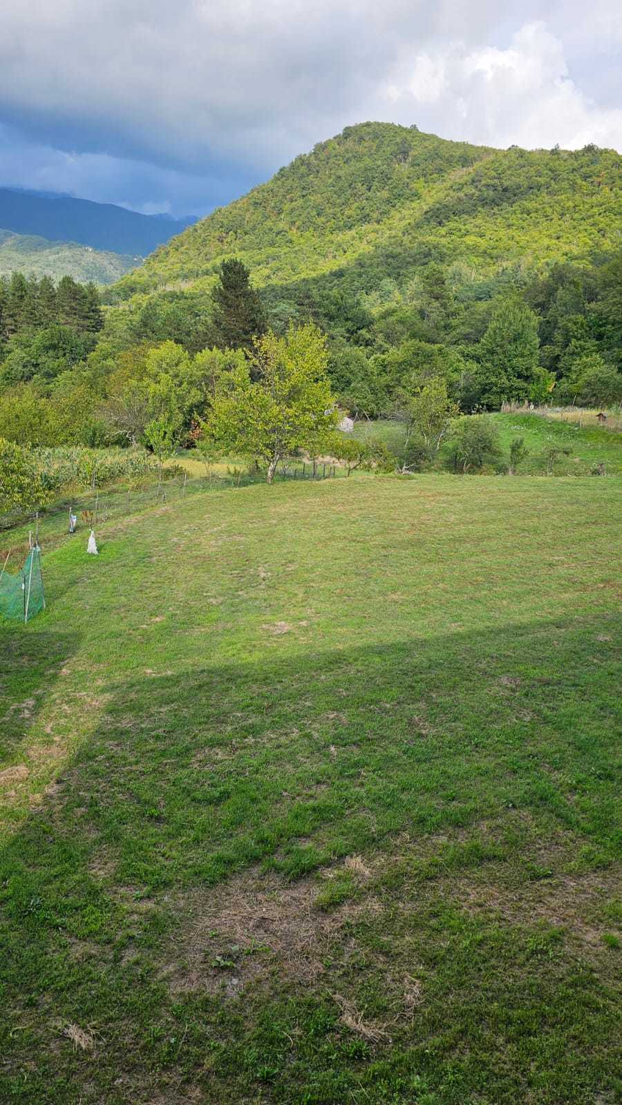  - foto 42
