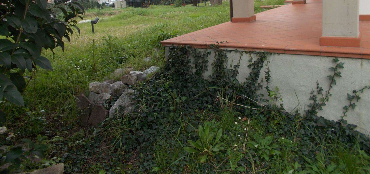  - foto 5