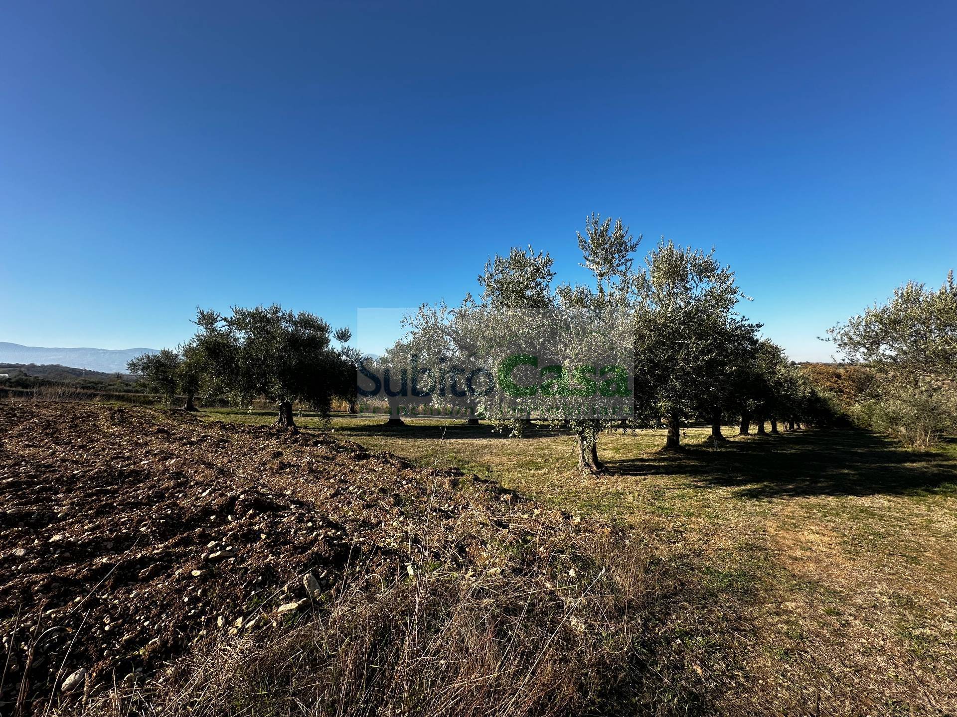  - foto 15