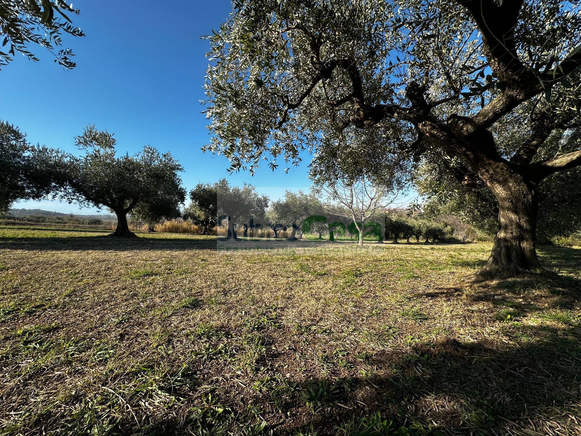  - foto 16