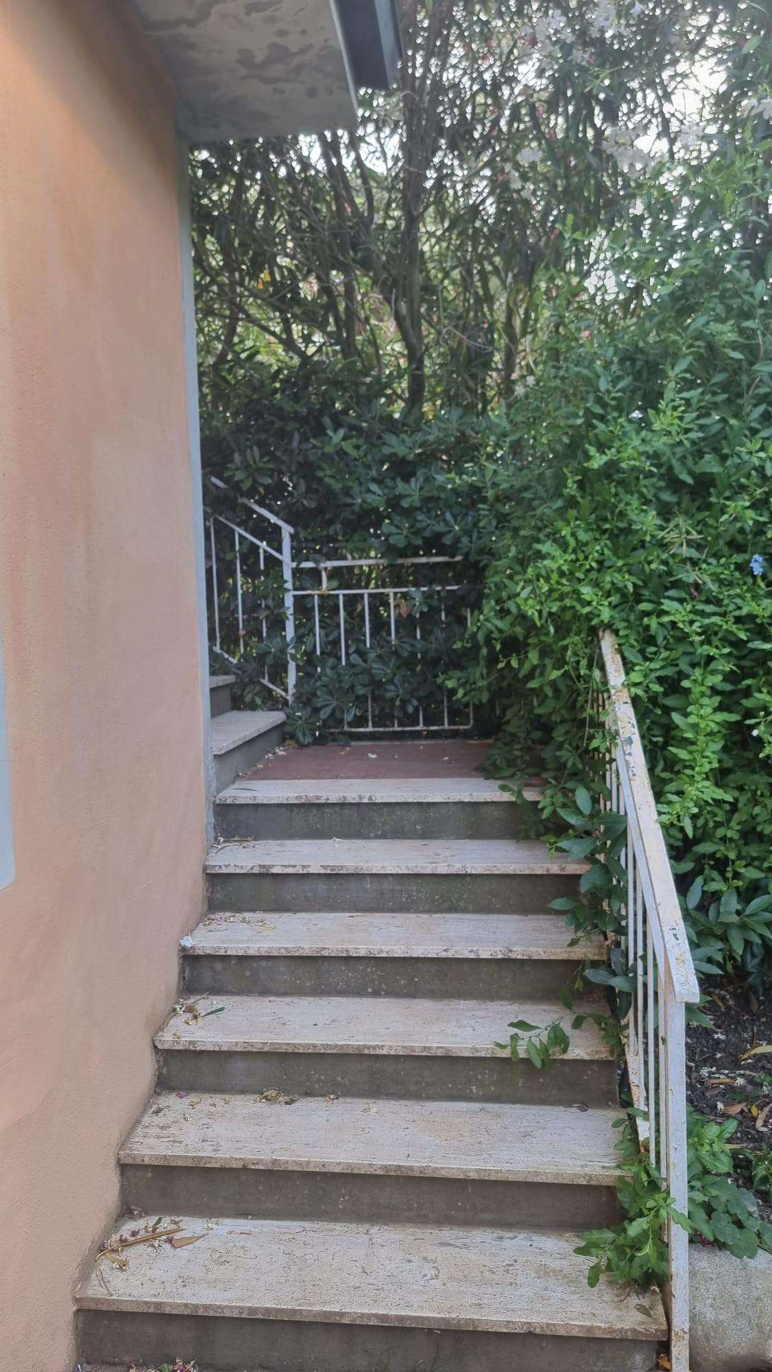  - foto 16