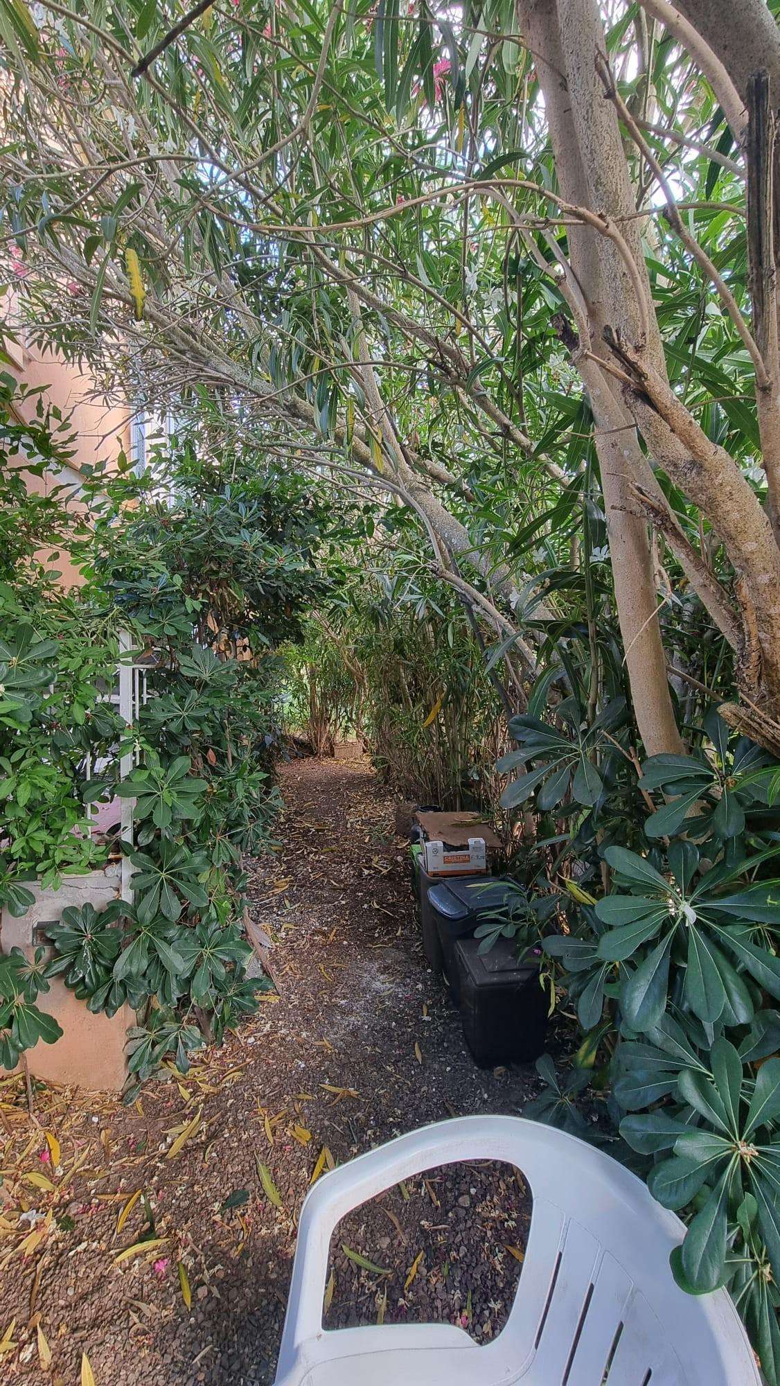  - foto 17