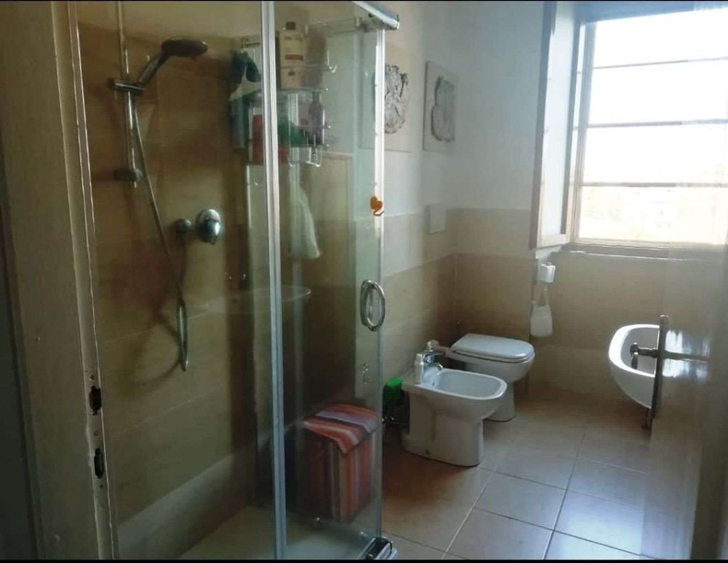 immagine annuncio 10 di 11