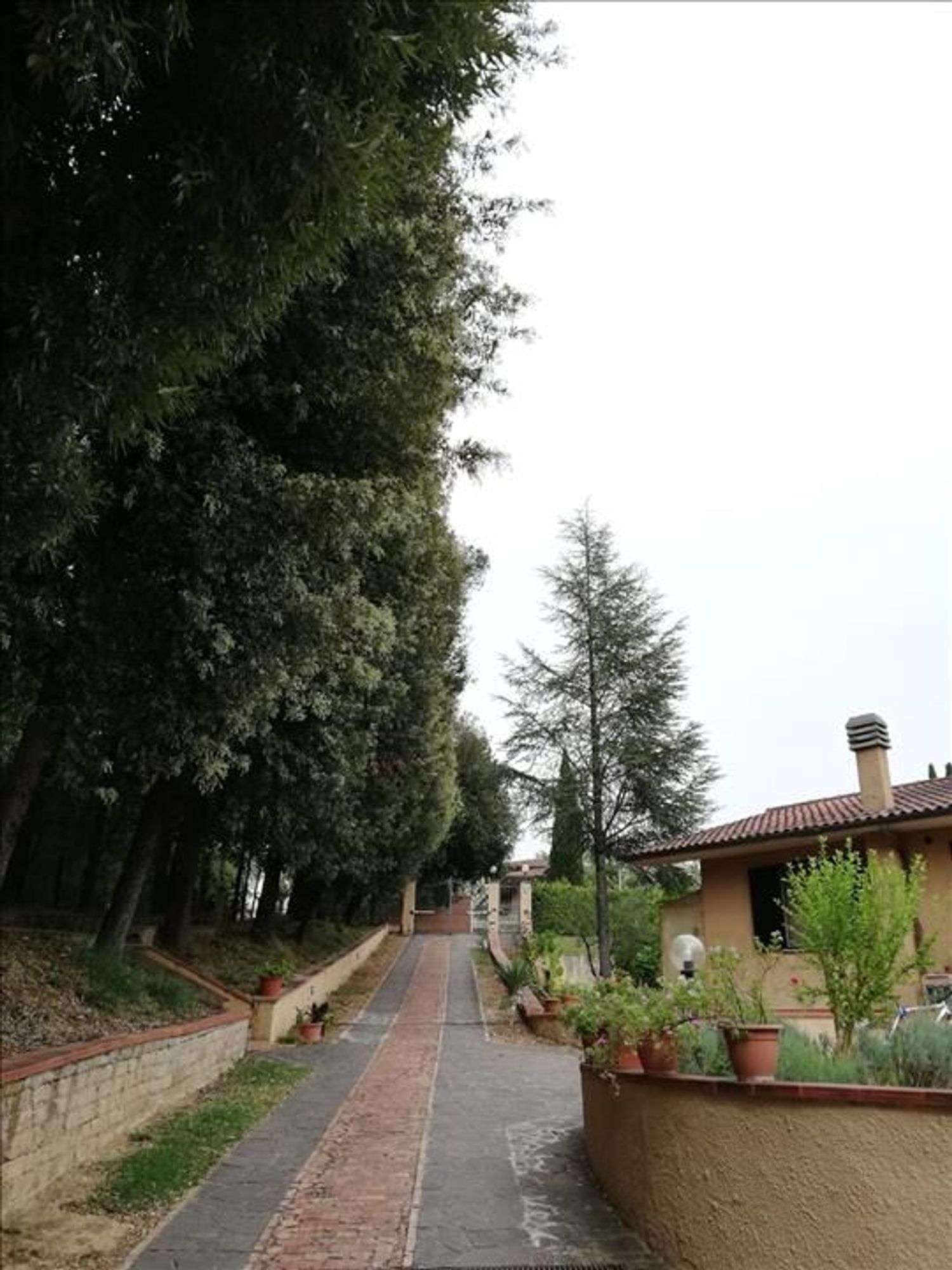  - foto 6