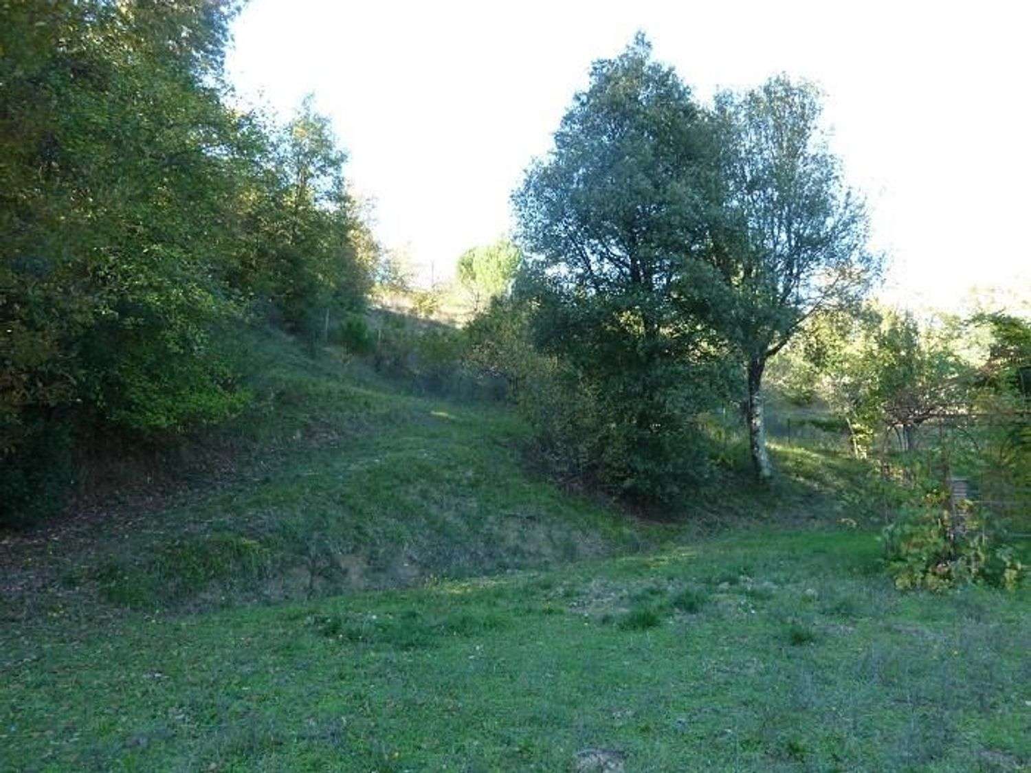  - foto 7