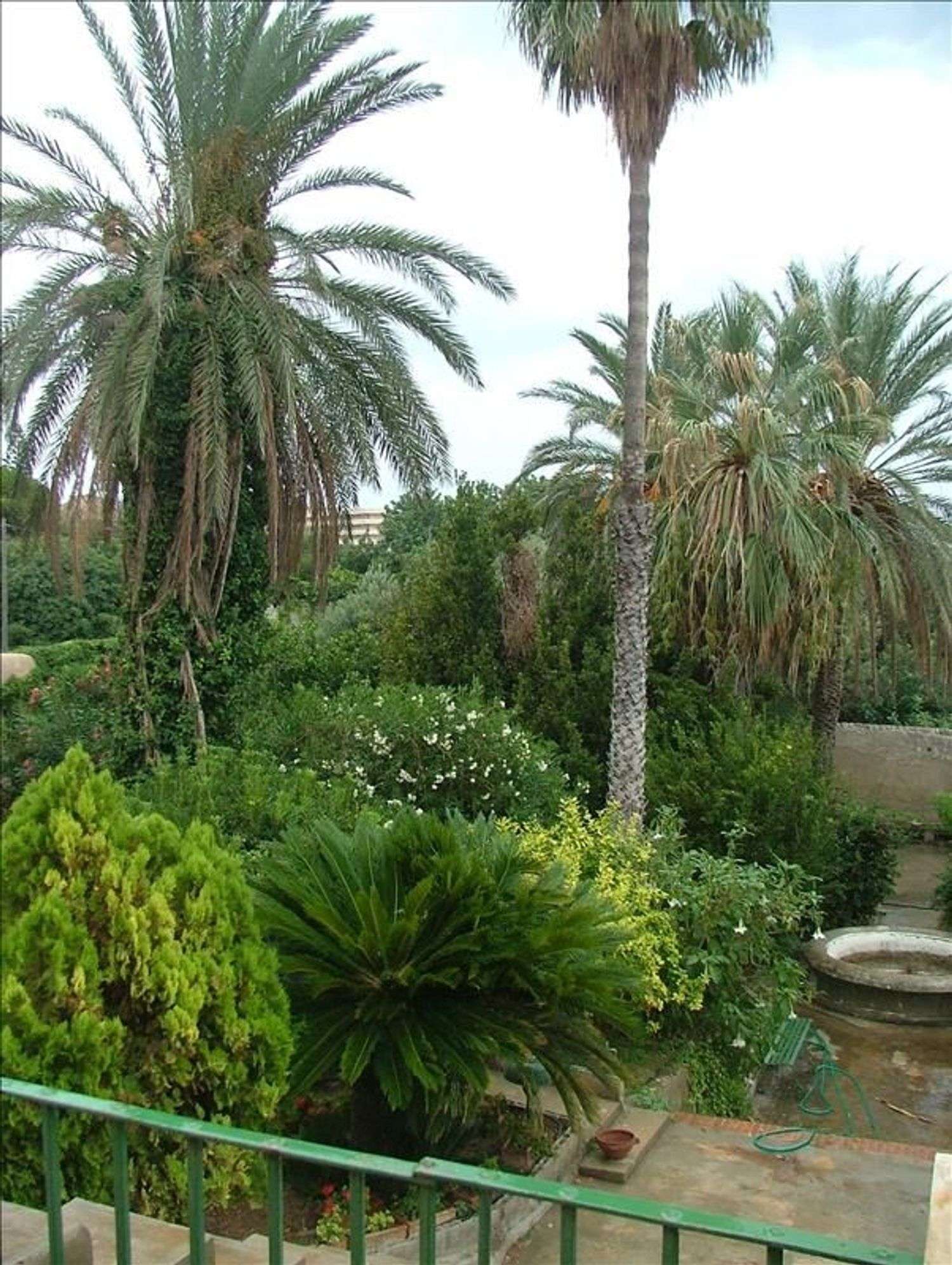  - foto 3