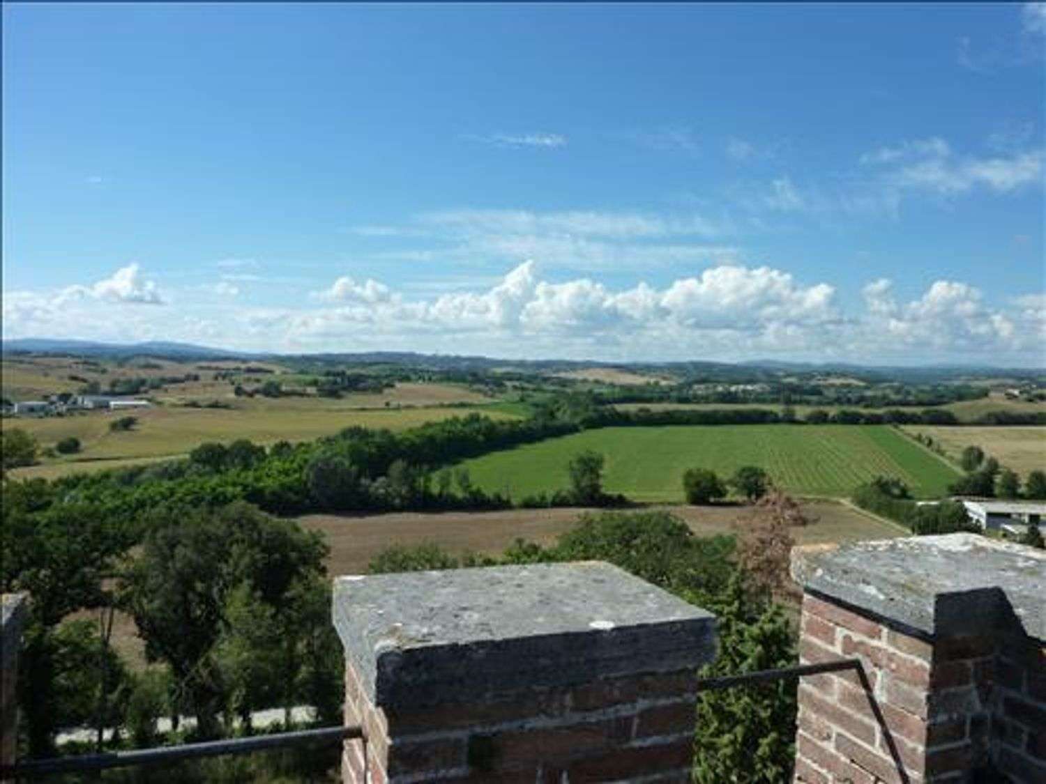 immagine annuncio 9 di 12