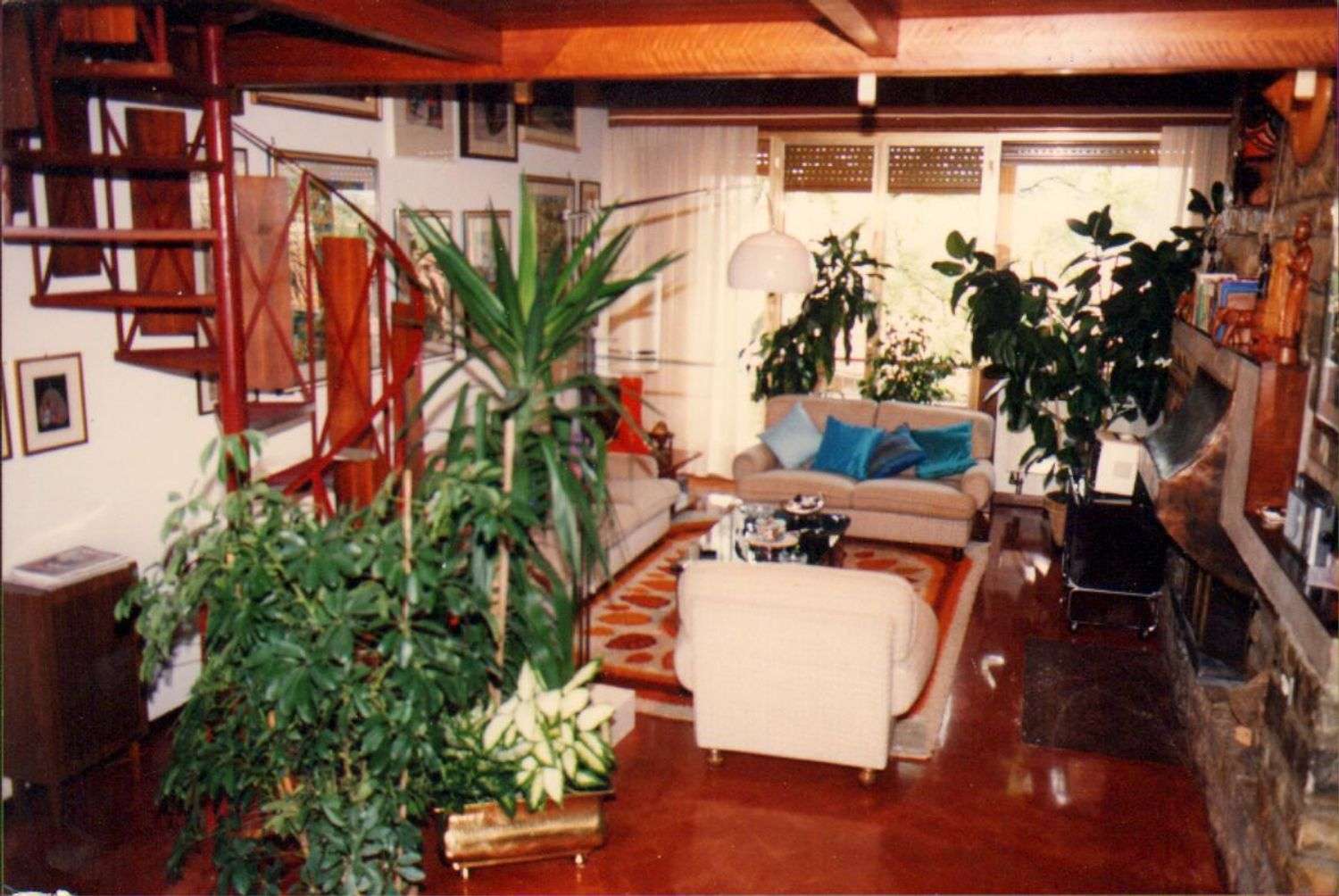  - foto 6