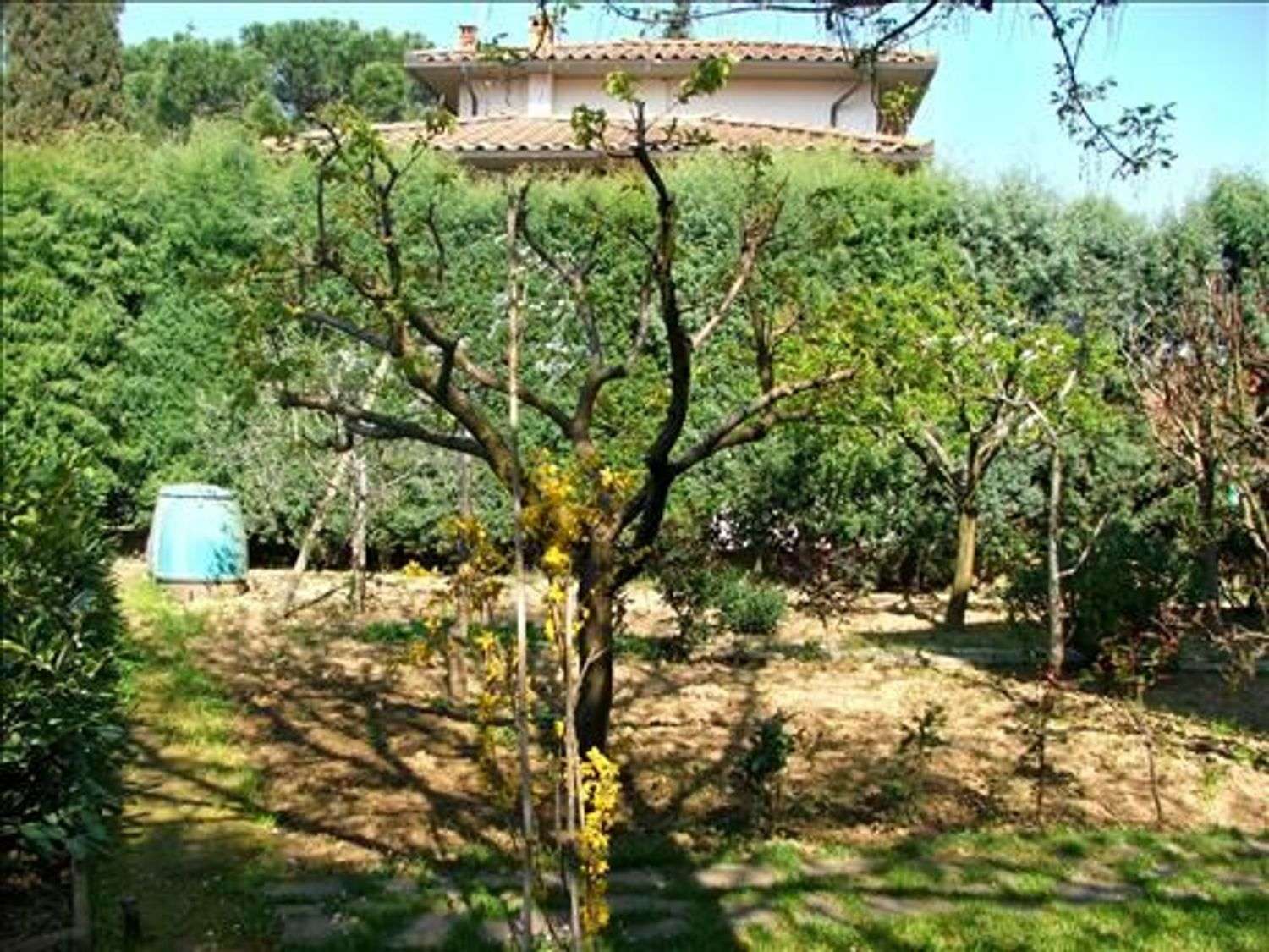 immagine annuncio 6 di 14