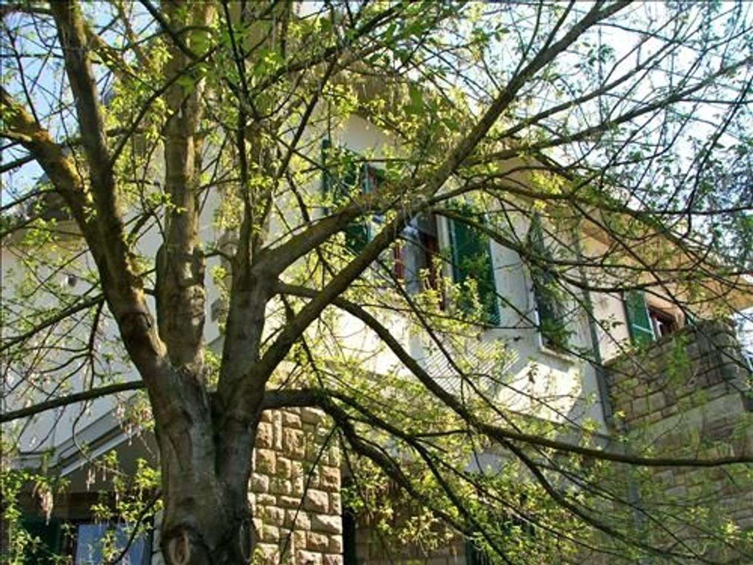 immagine annuncio 11 di 14