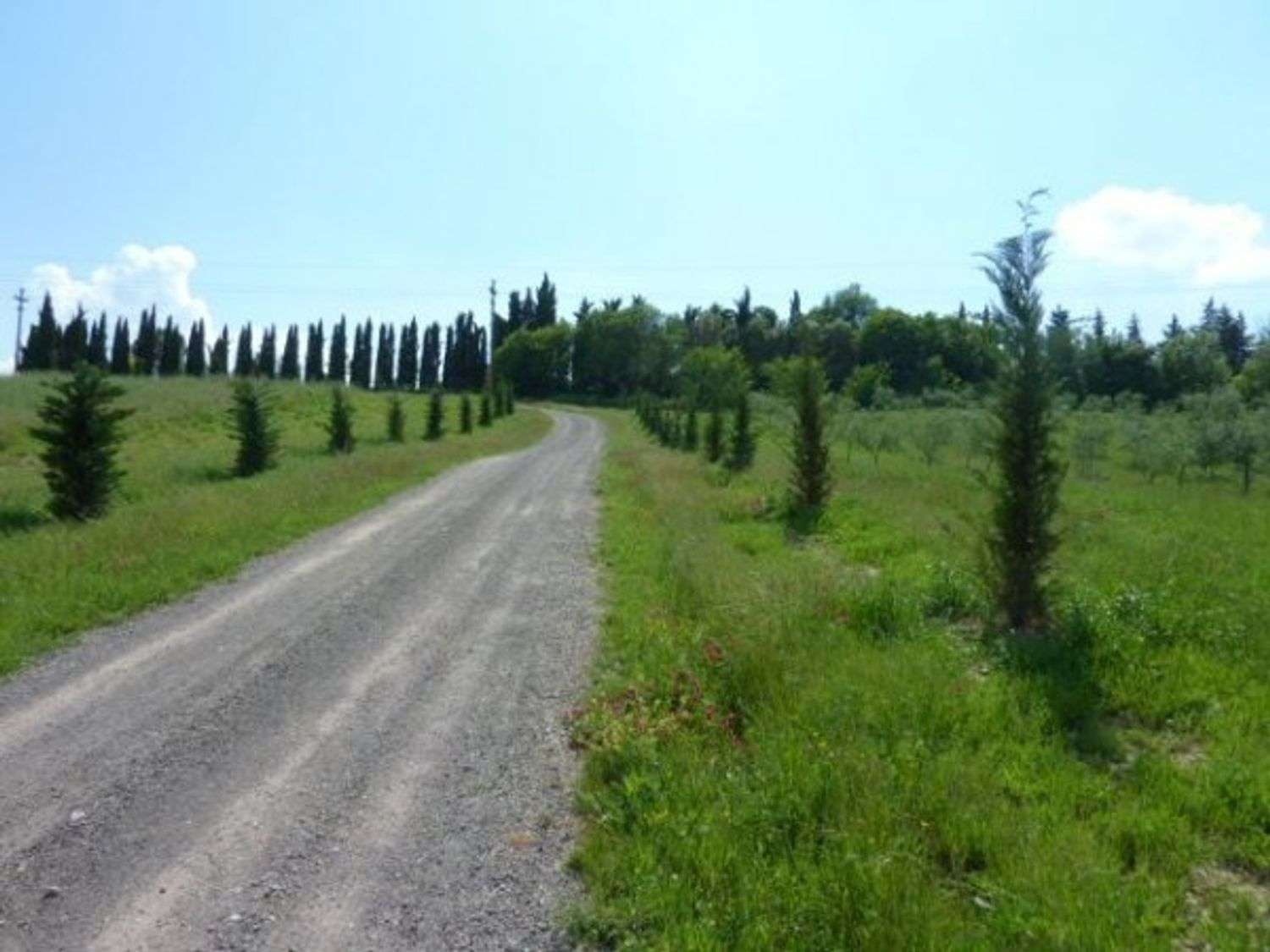  - foto 6