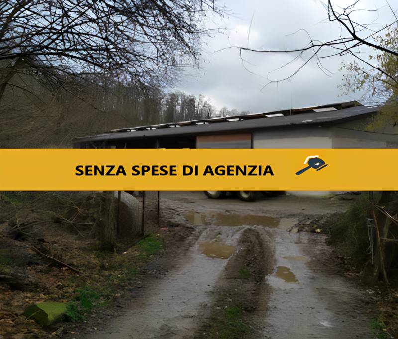 immagine annuncio 3 di 9