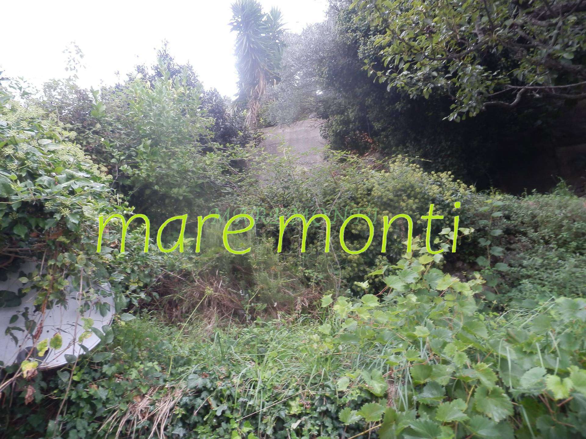  - foto 27