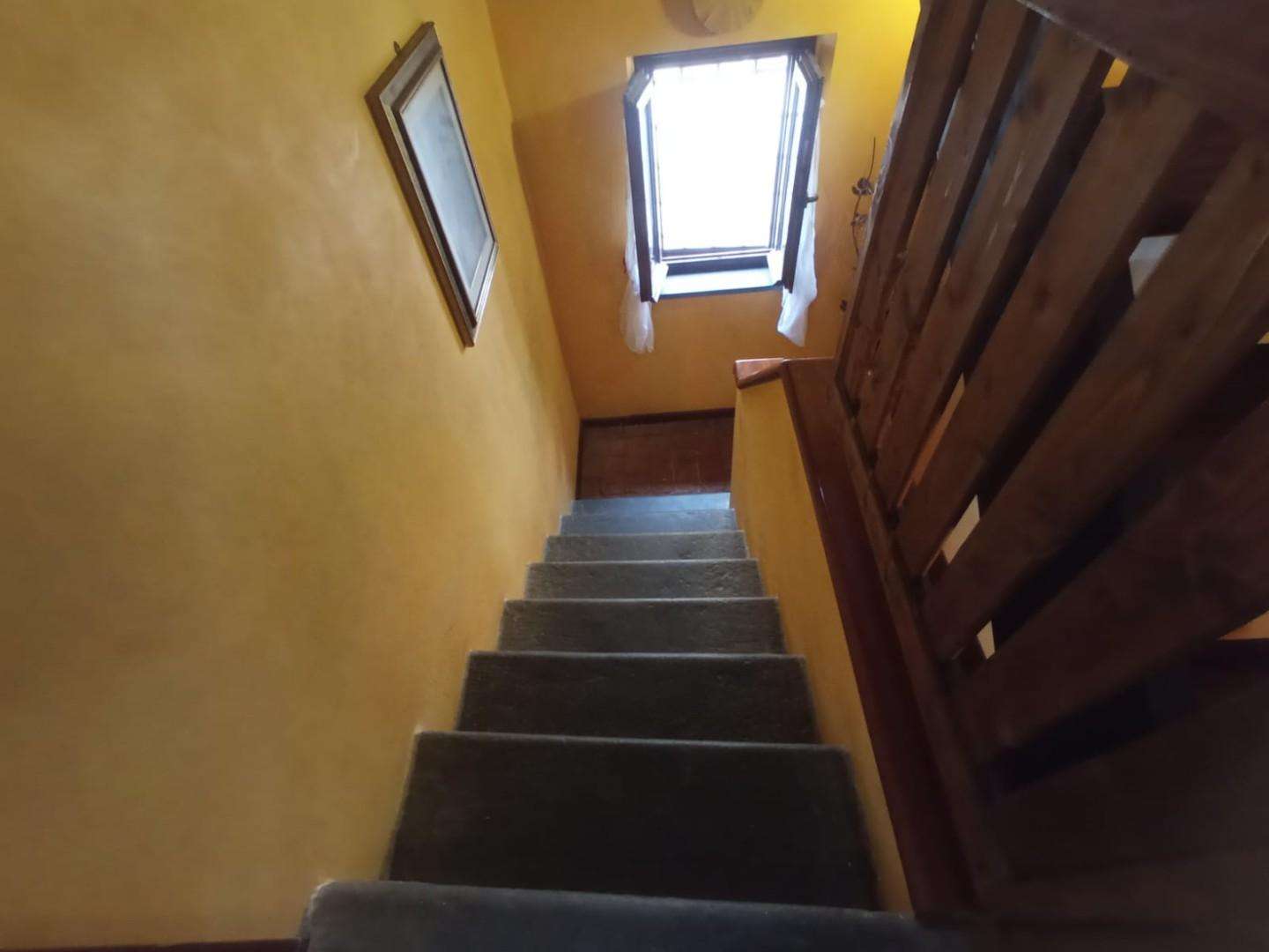  - foto 33