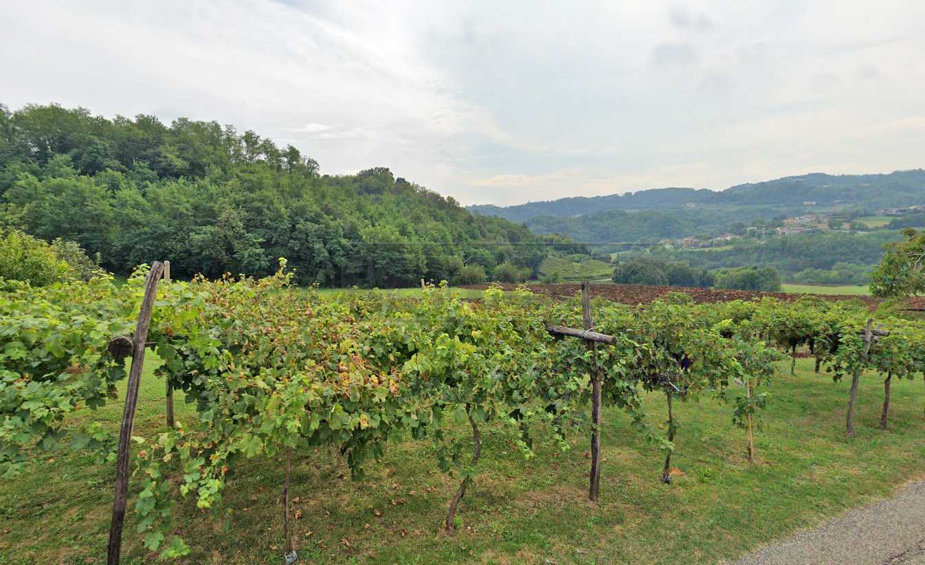 immagine annuncio 2 di 4