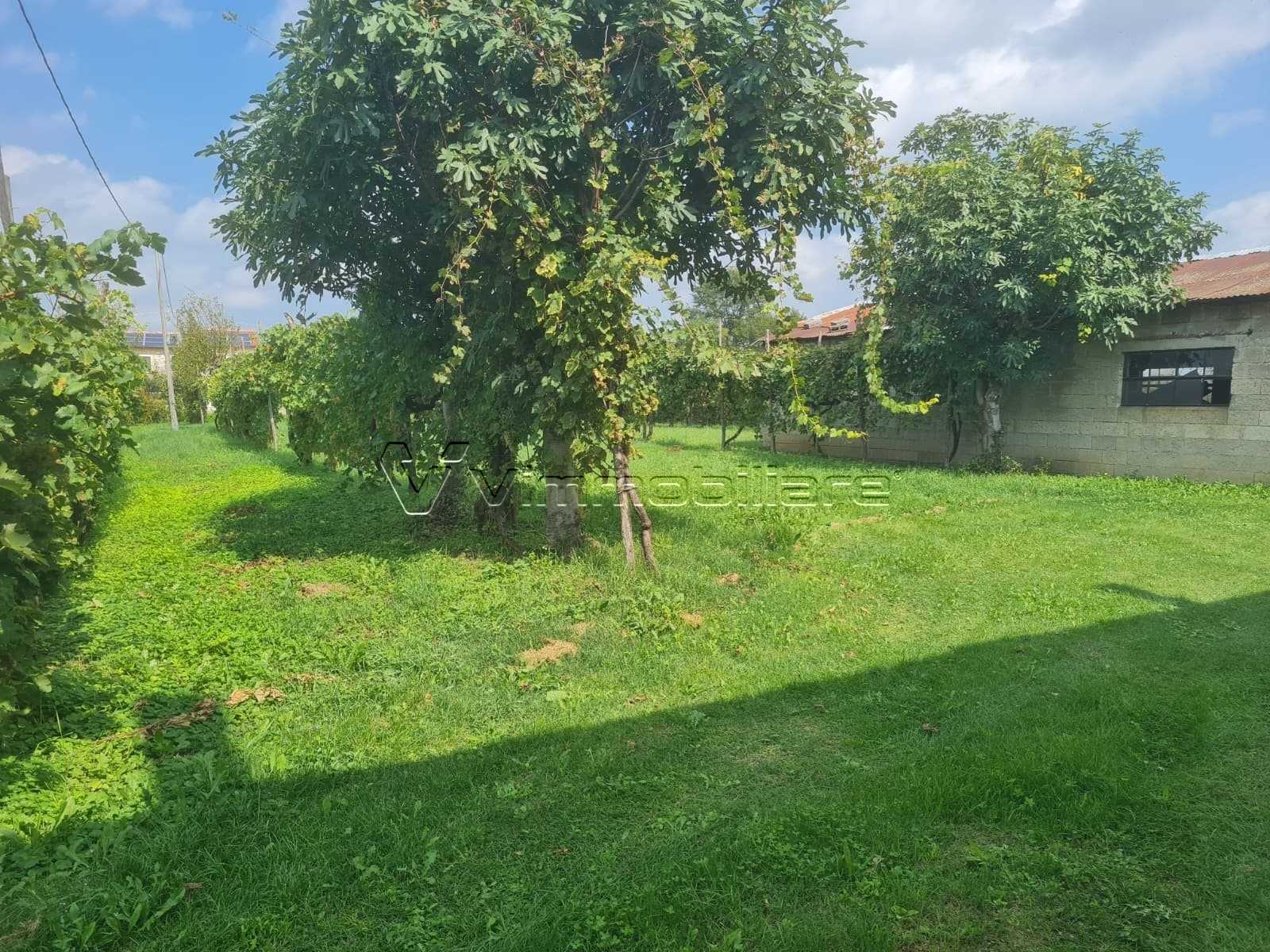  - foto 10