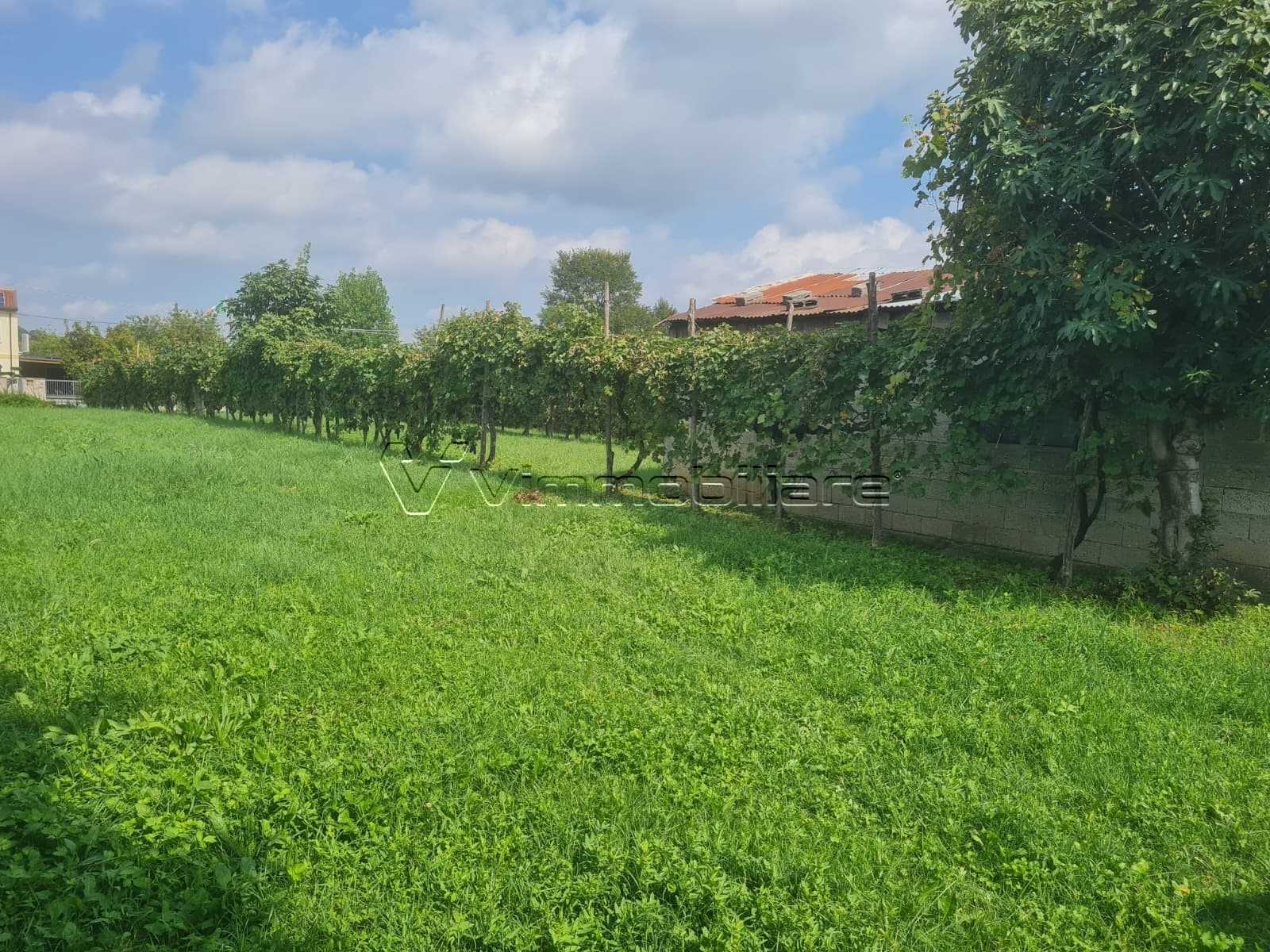  - foto 11