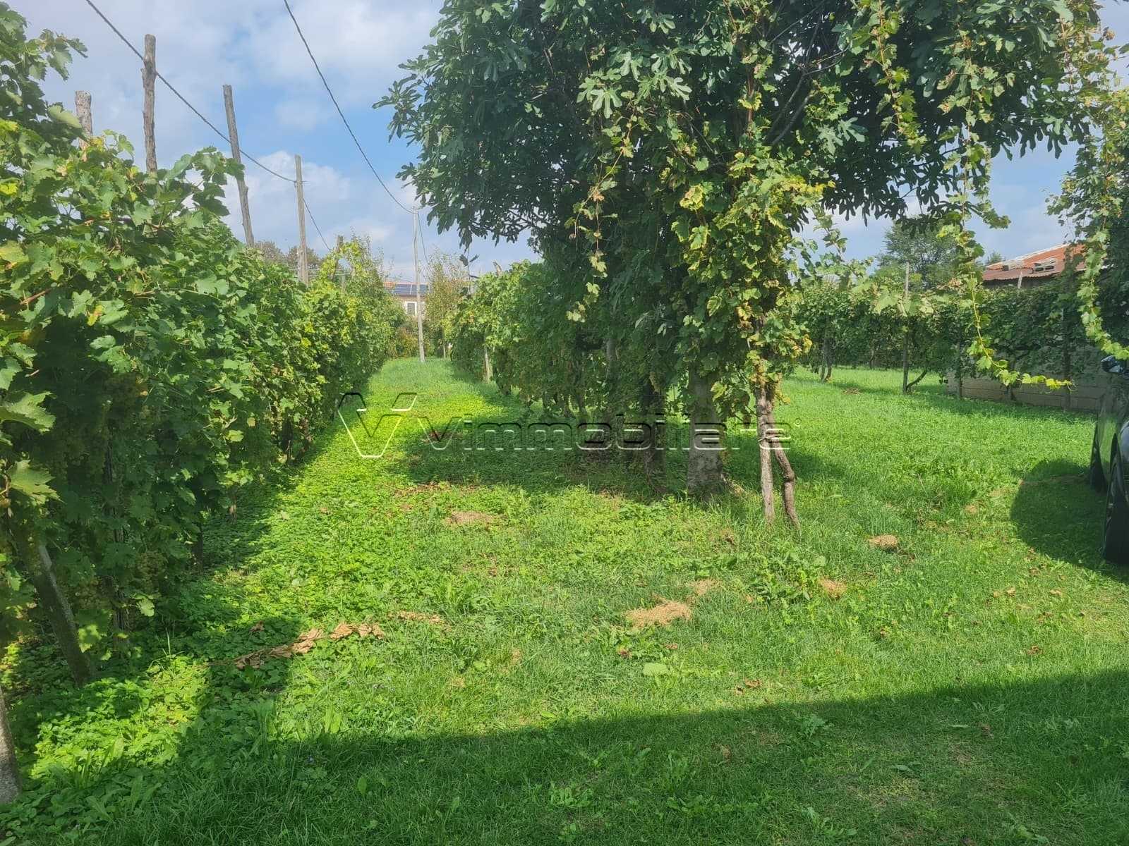  - foto 13