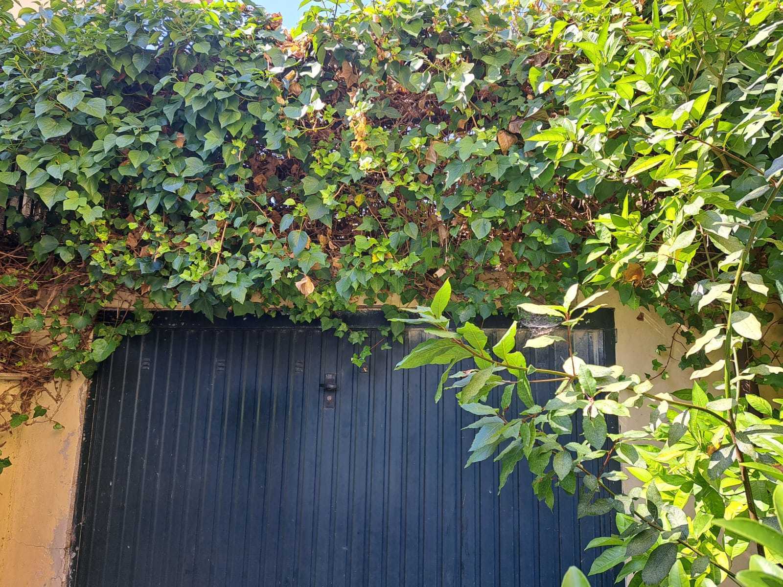  - foto 26