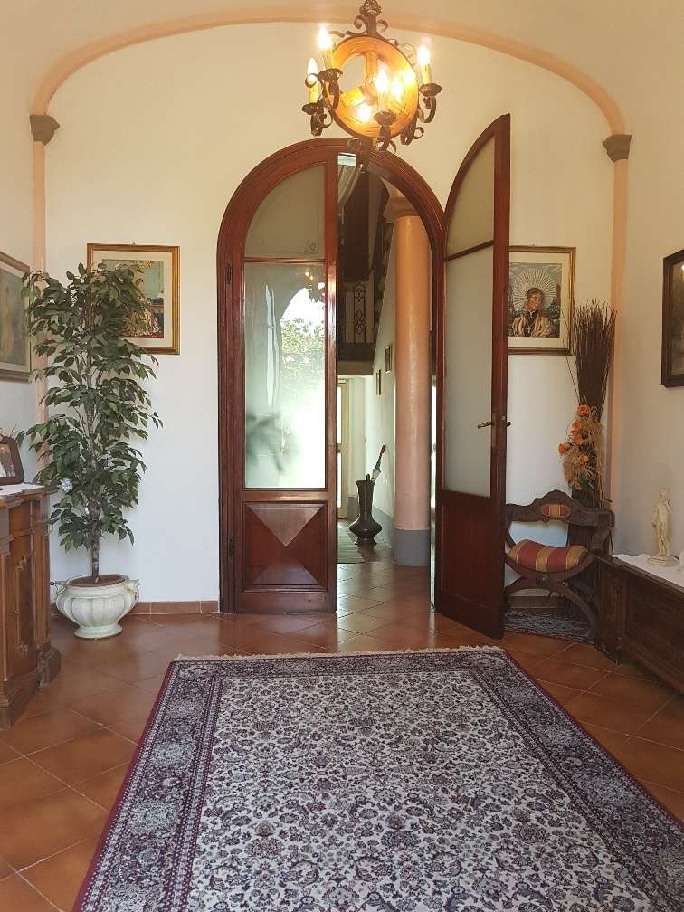  - foto 19
