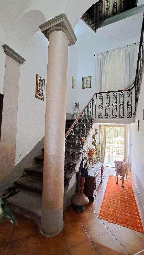  - foto 25