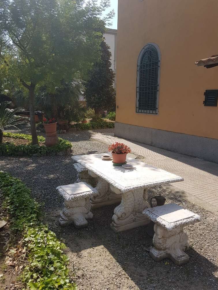 - foto 43