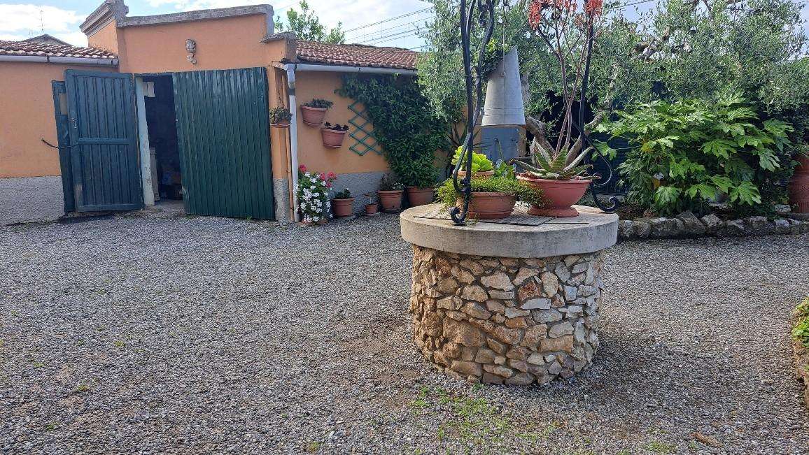  - foto 7