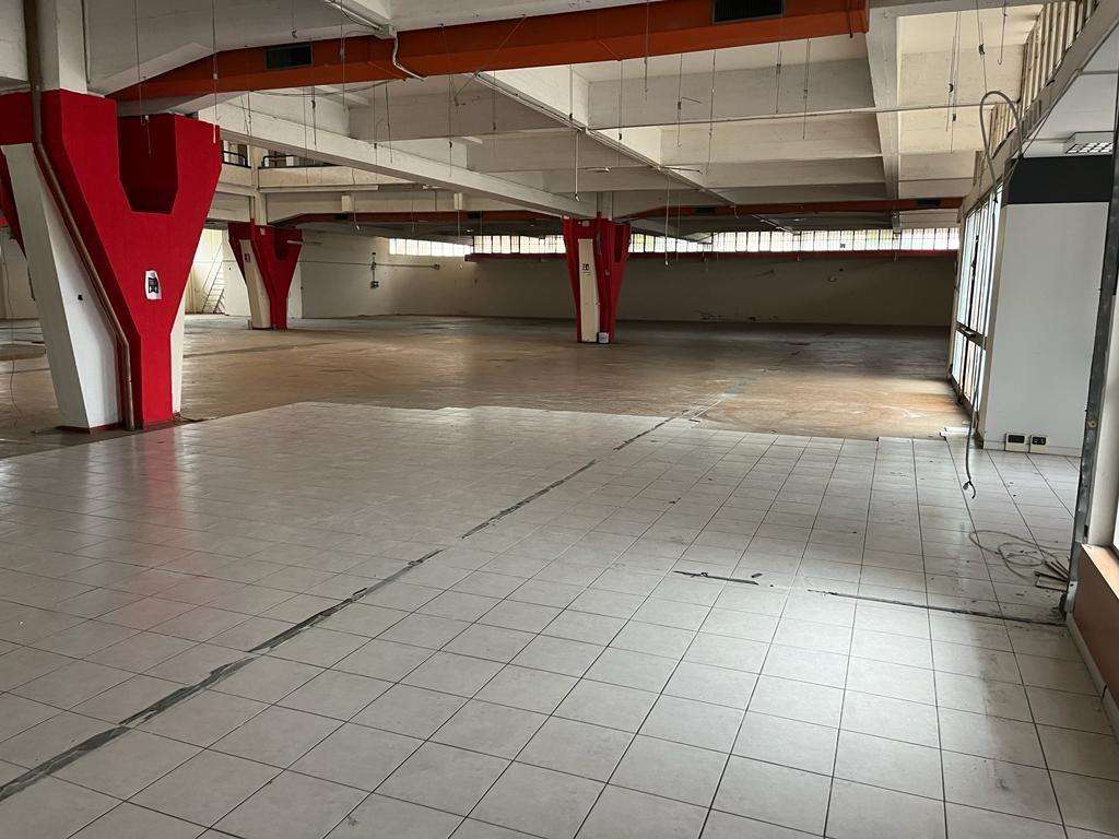  - foto 11