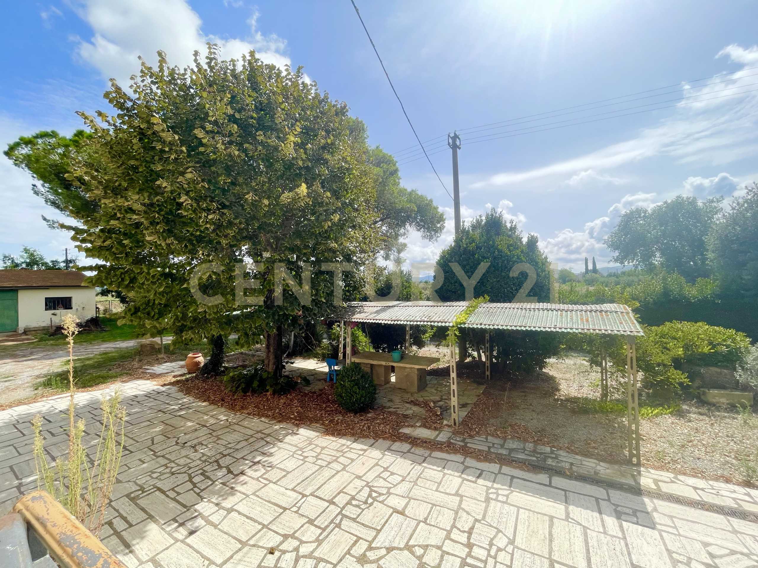  - foto 14