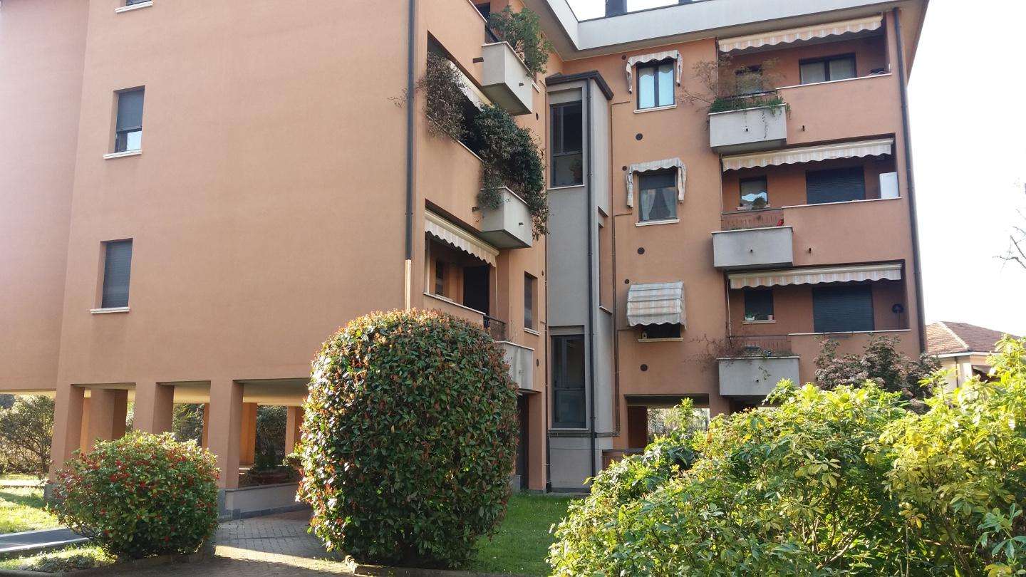 immagine annuncio 1 di 6