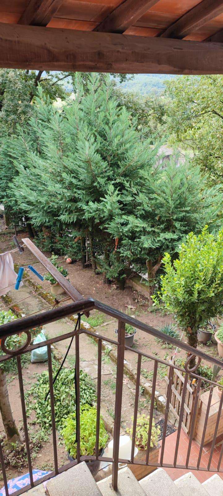  - foto 18