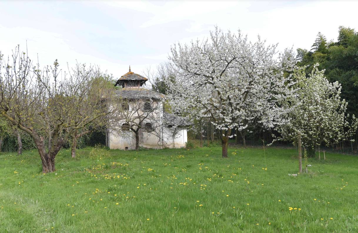 immagine annuncio 3 di 10