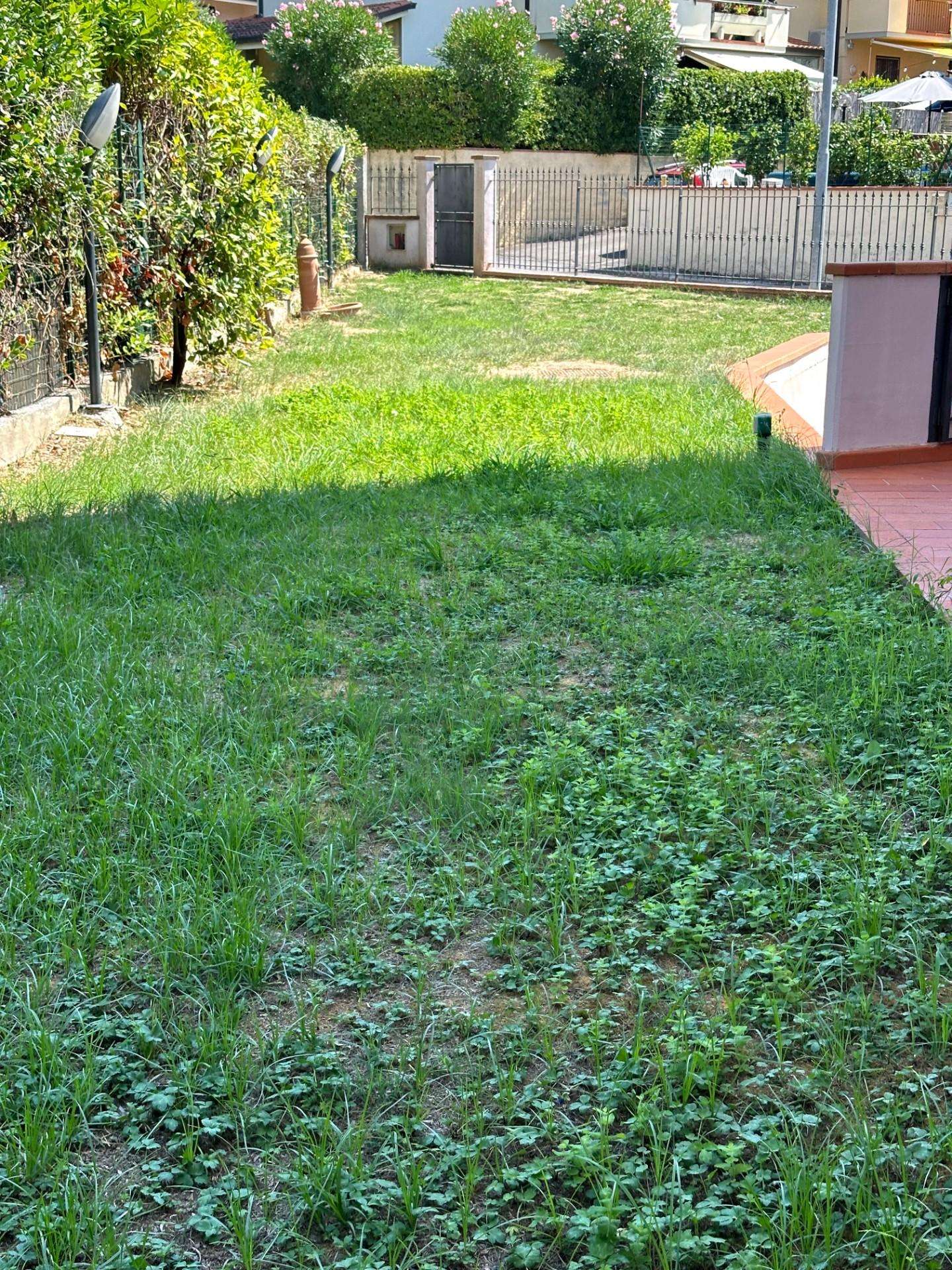  - foto 40