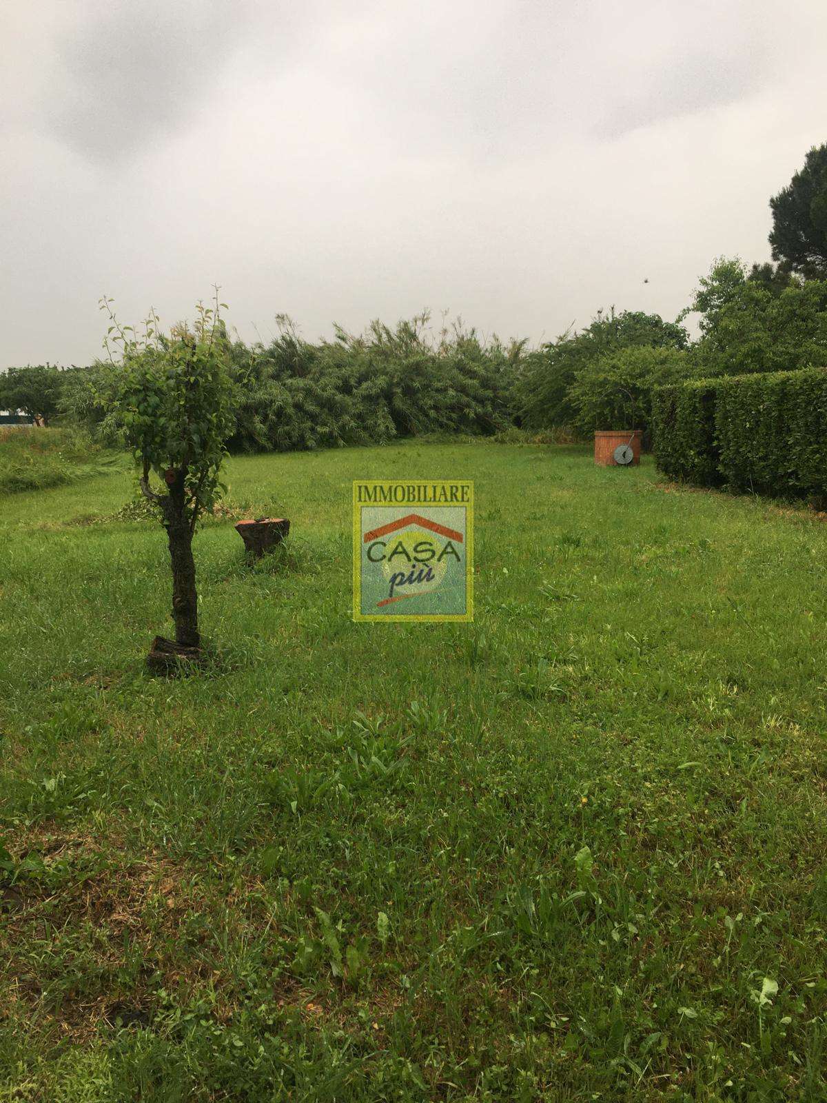  - foto 24