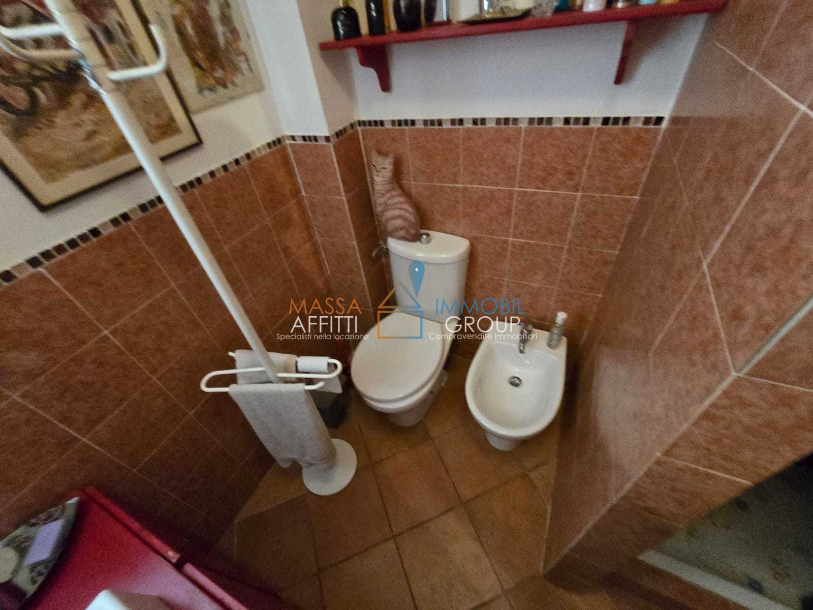  - foto 58