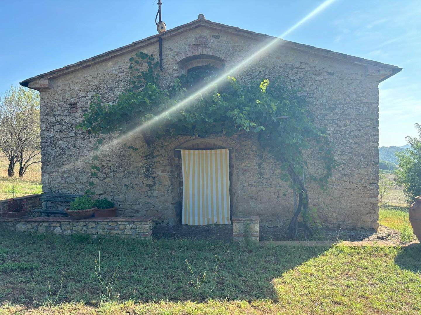  - foto 31
