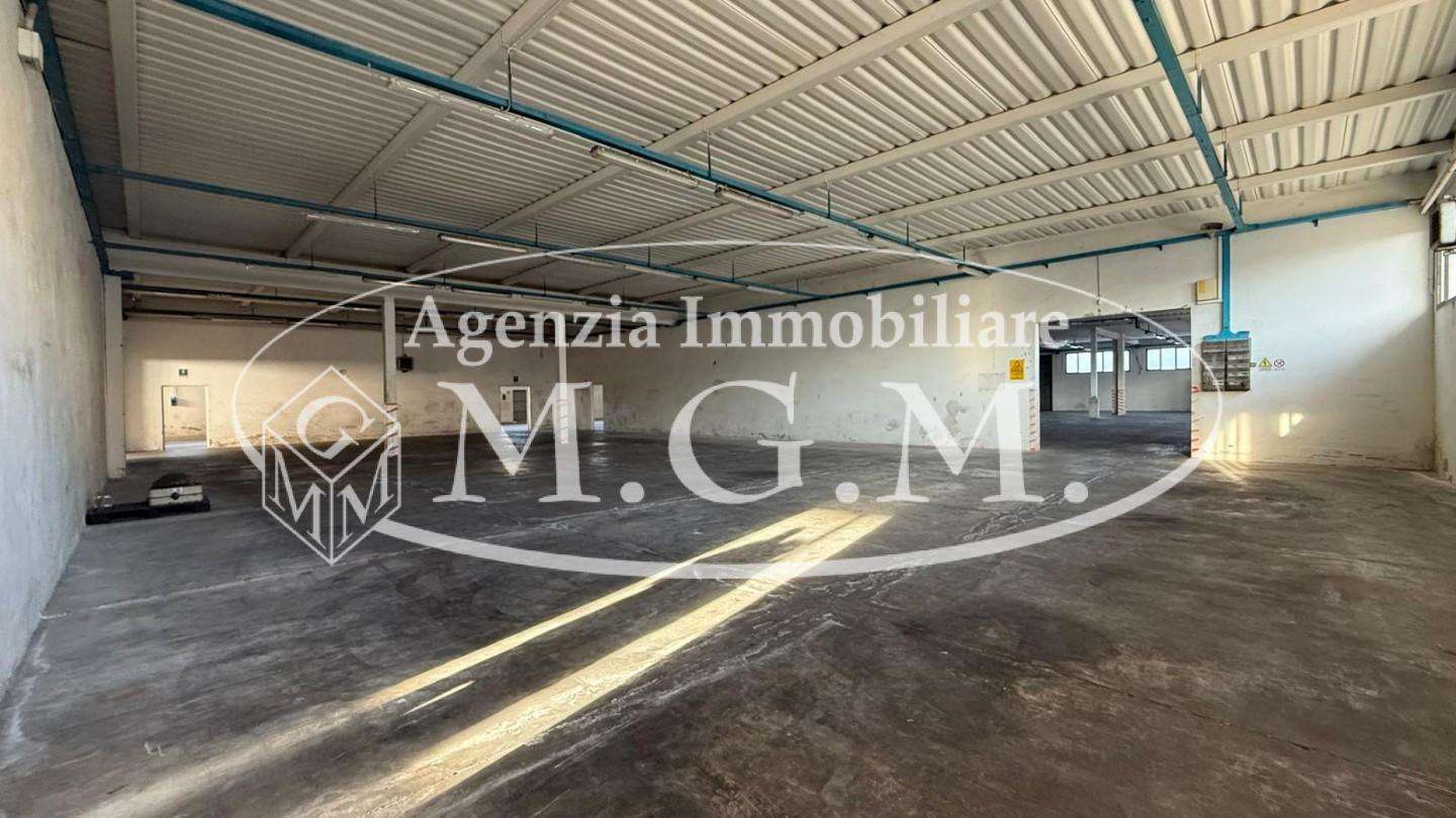  - foto 6