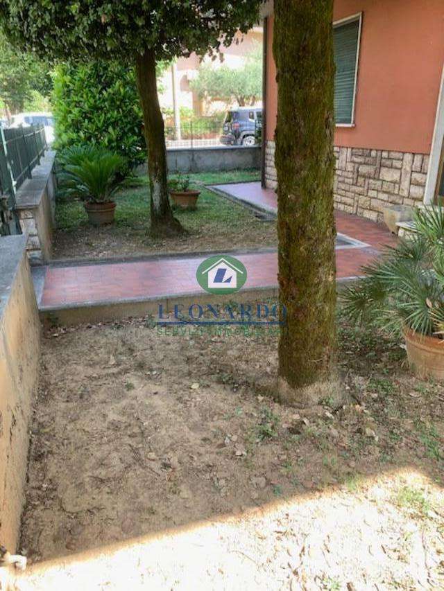  - foto 36