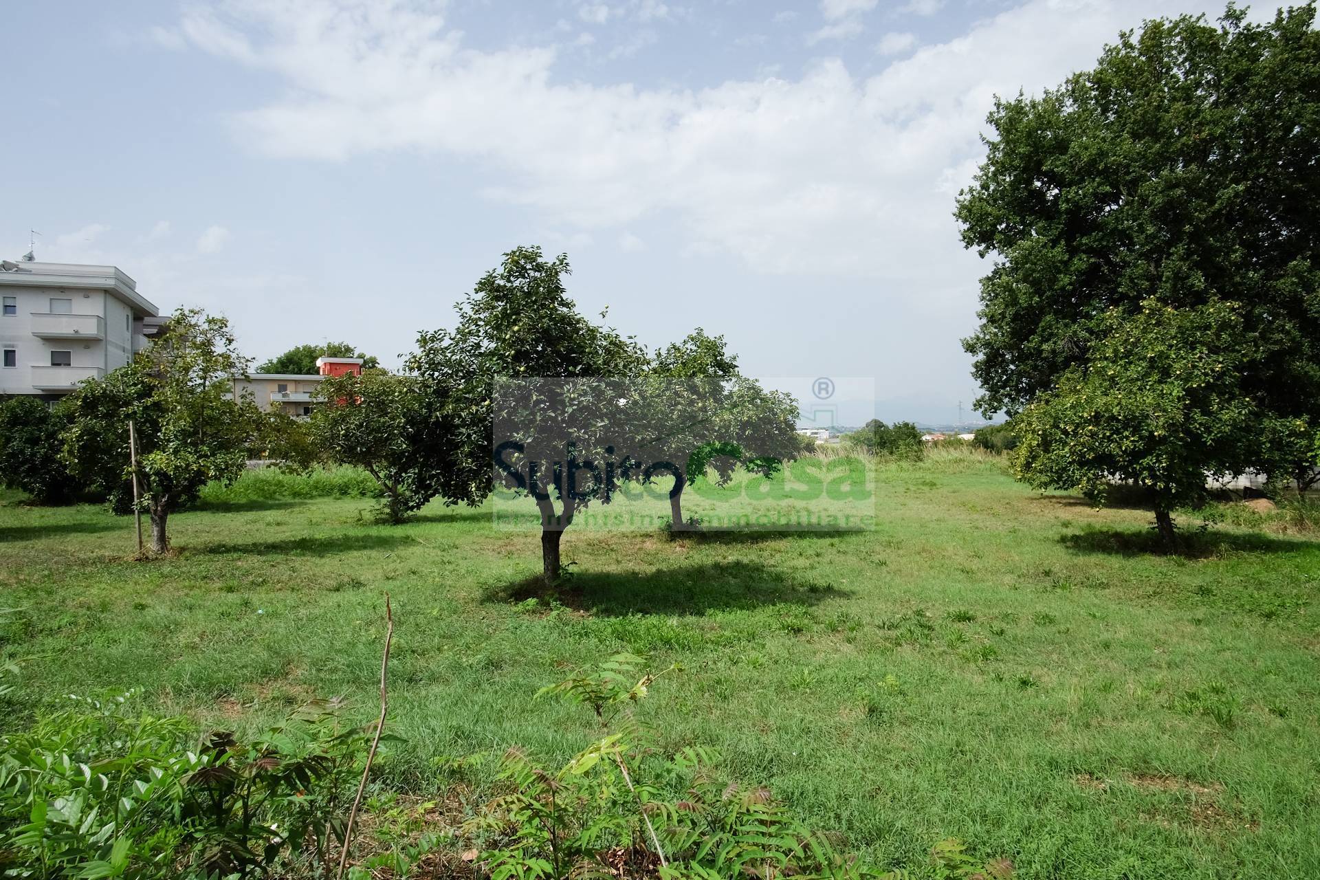  - foto 12