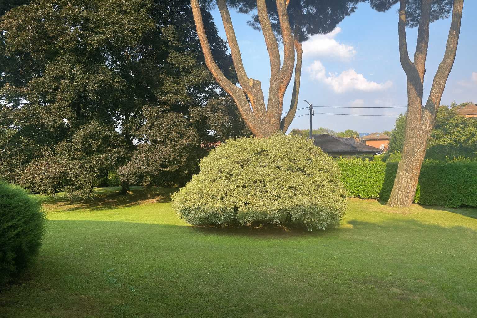  - foto 48