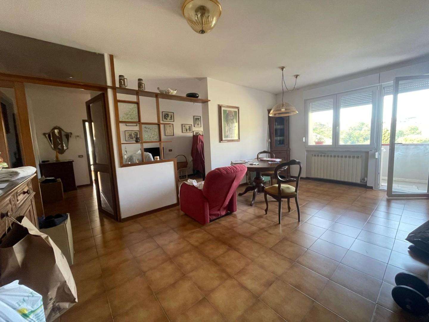 immagine annuncio 9 di 14