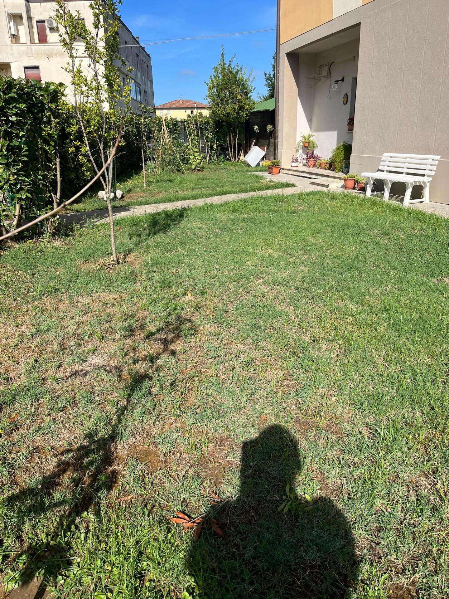  - foto 5