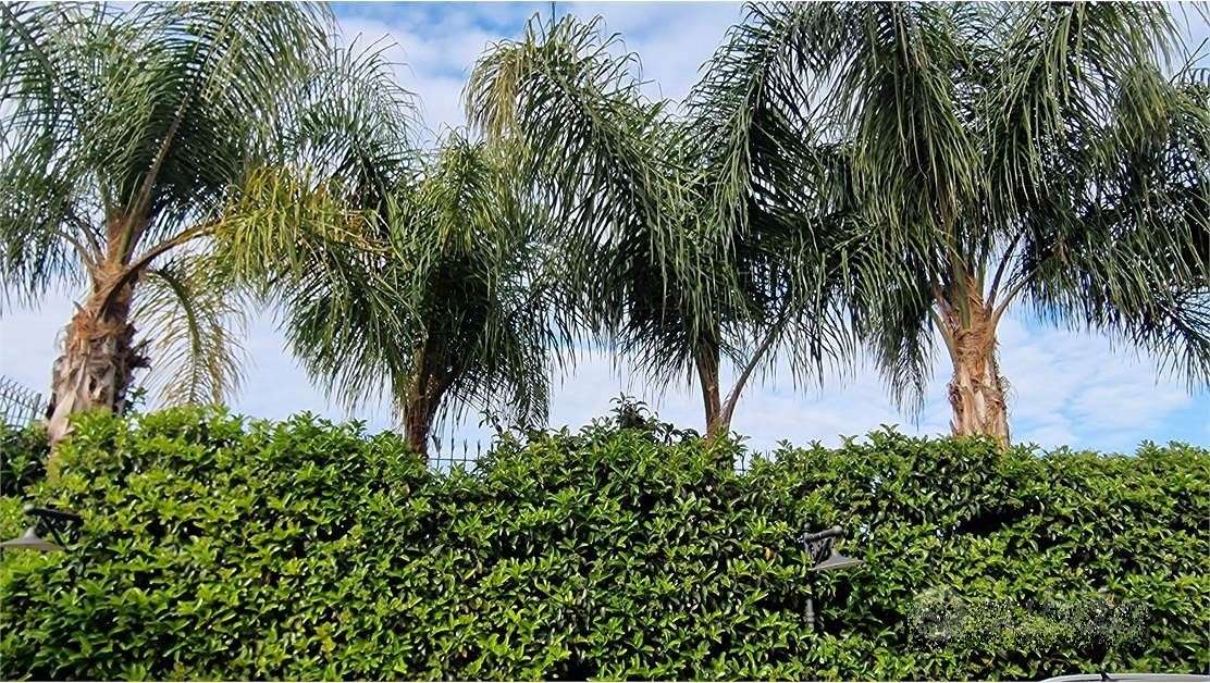  - foto 7