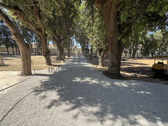  - foto 29