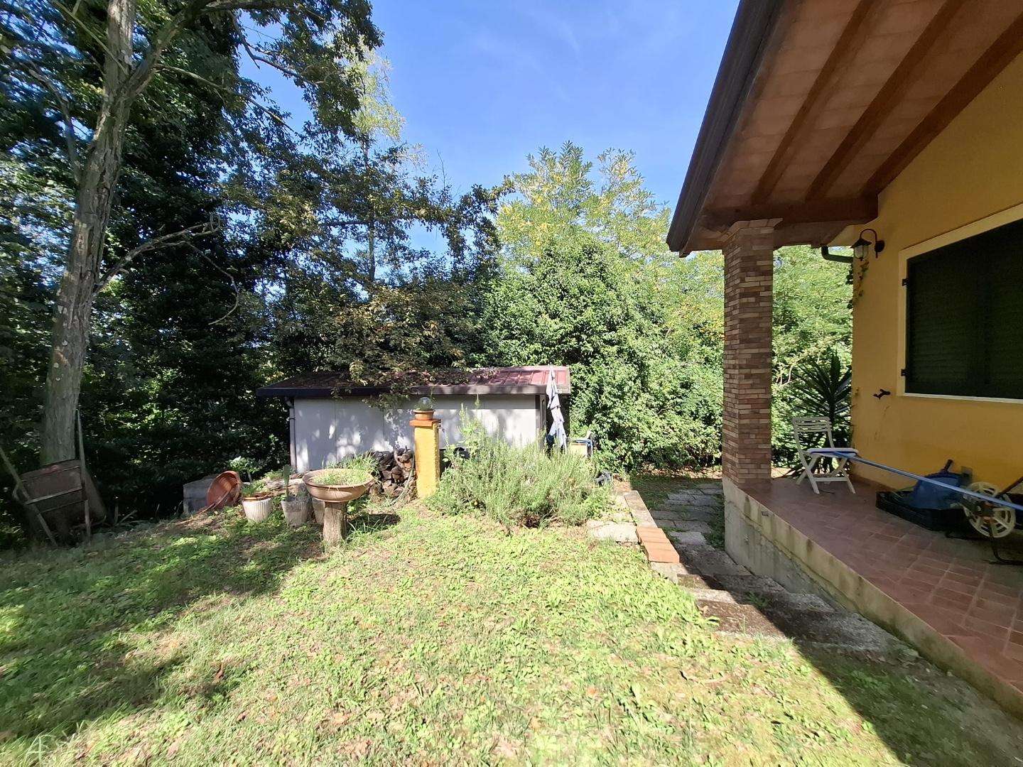  - foto 12