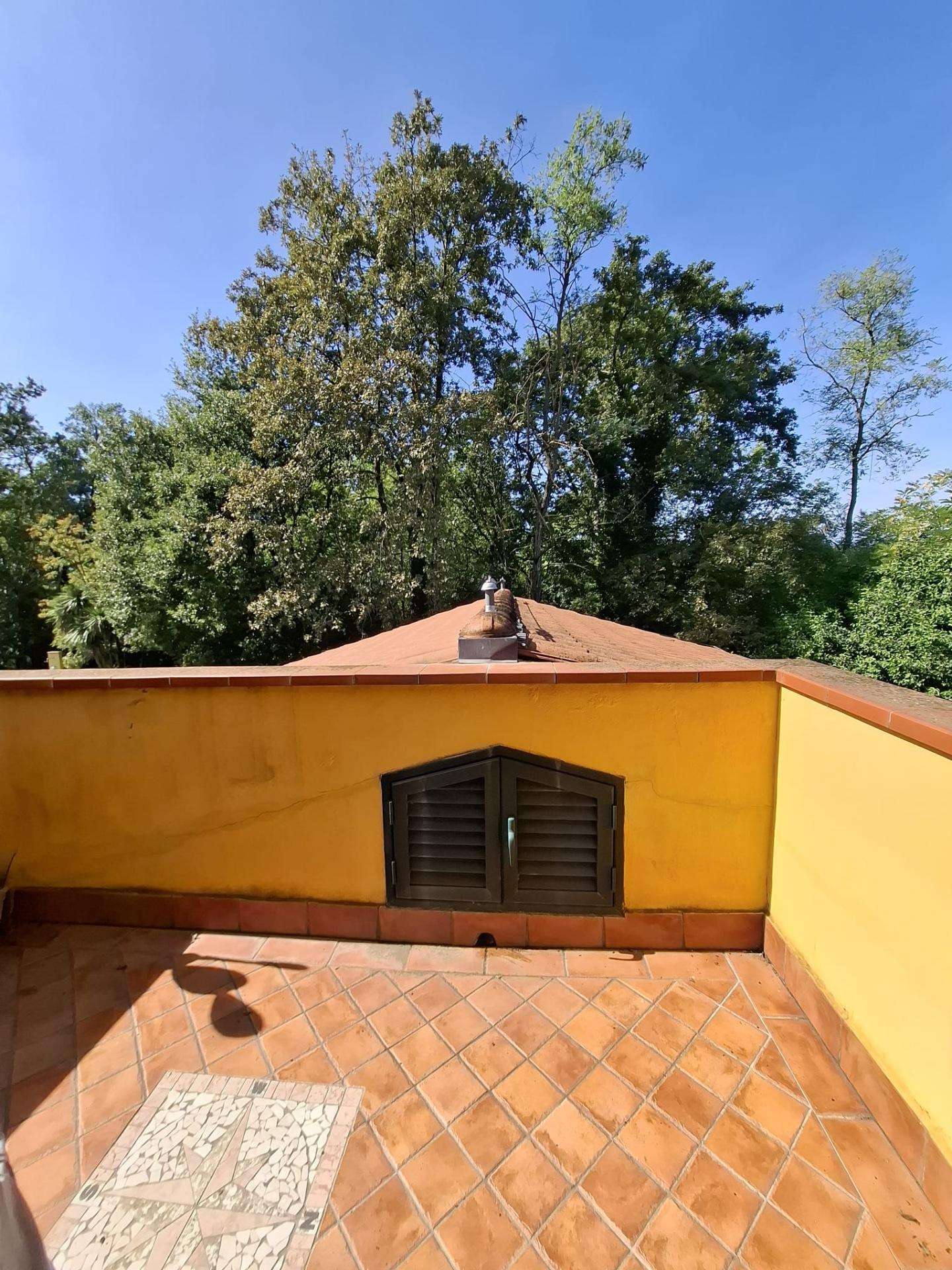 - foto 26