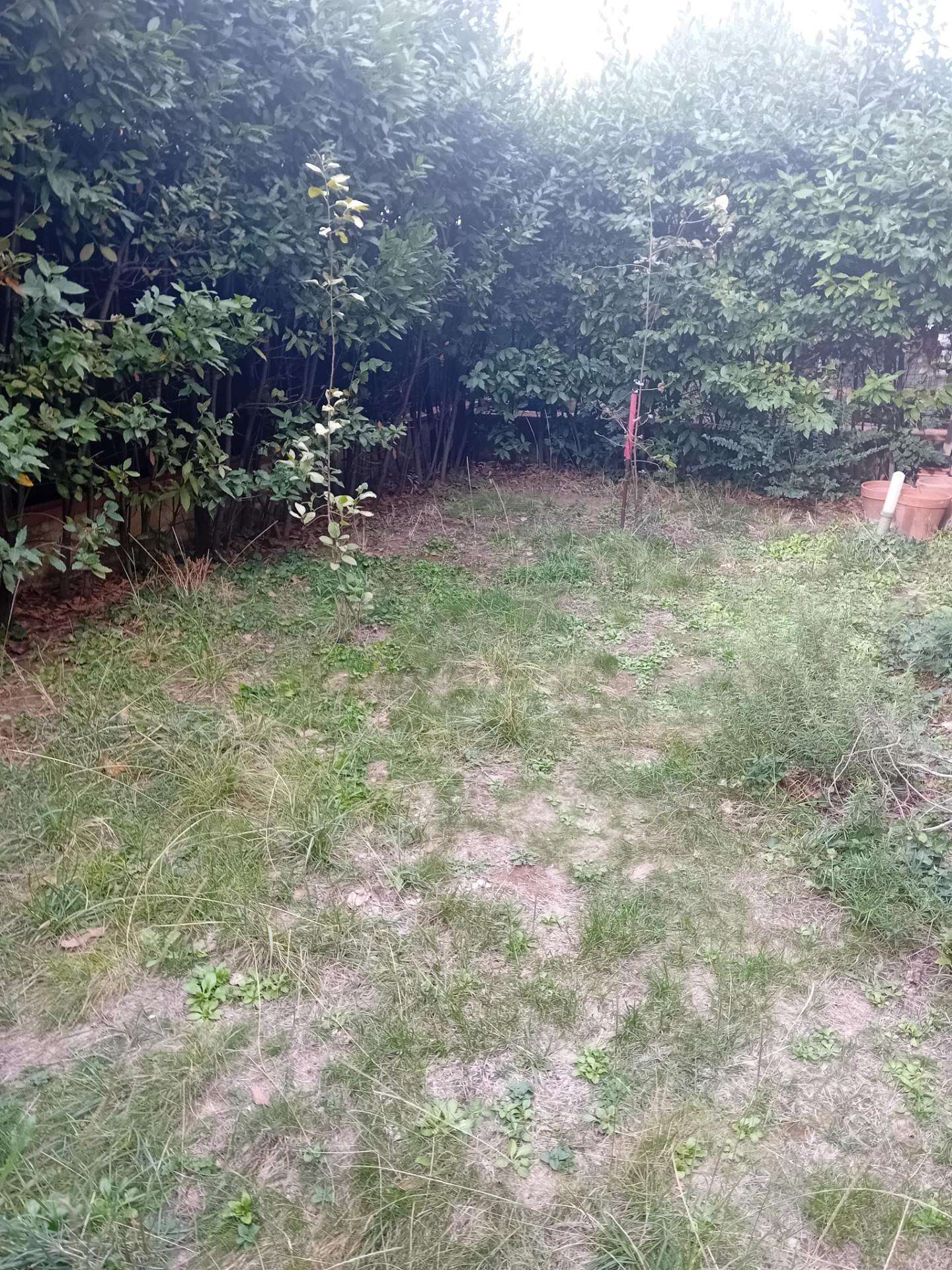  - foto 19
